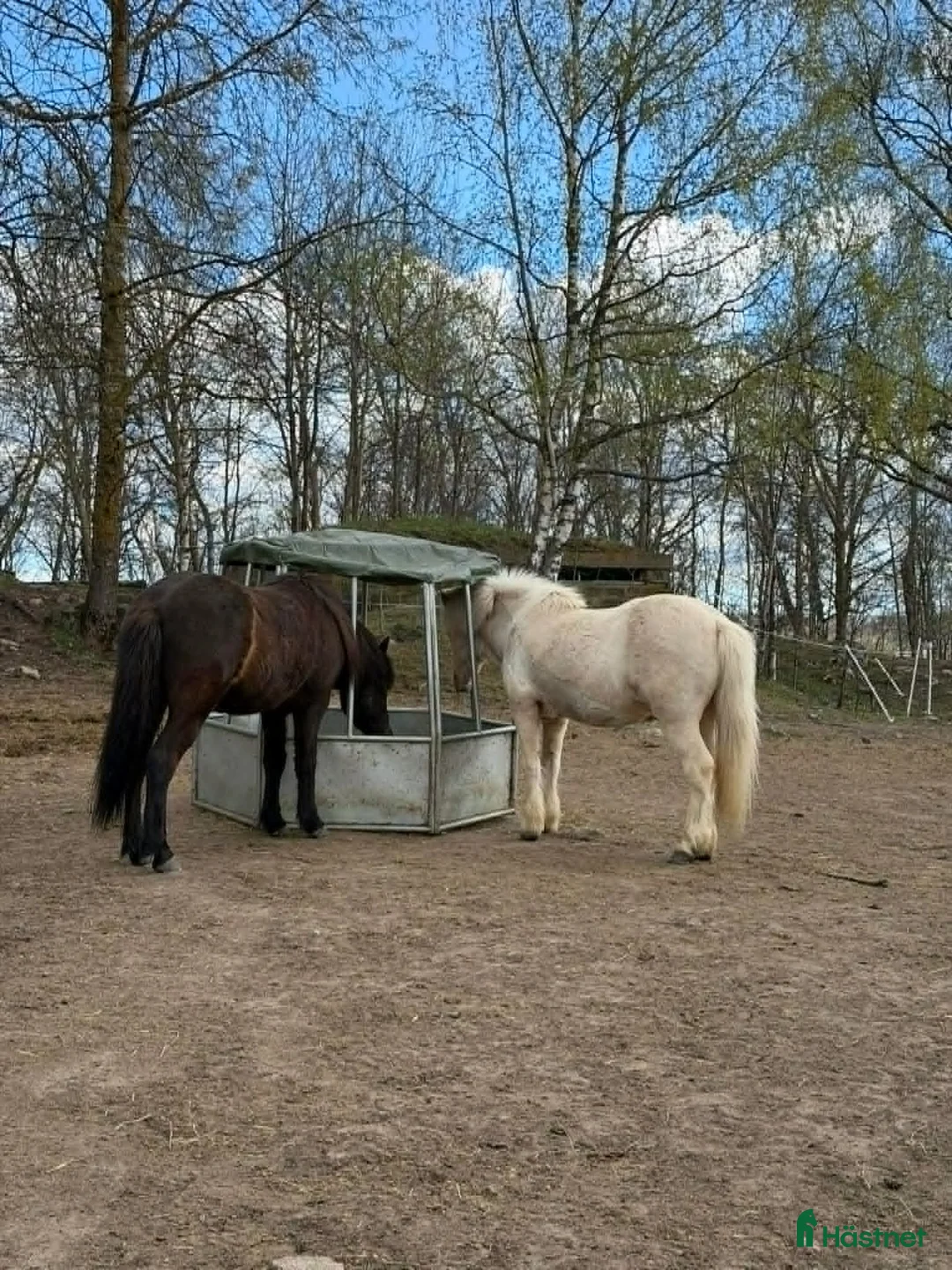  stallplats finnes: STALL eller stalldelar uthyres från 1 Augusti i Märsta - Annons 2