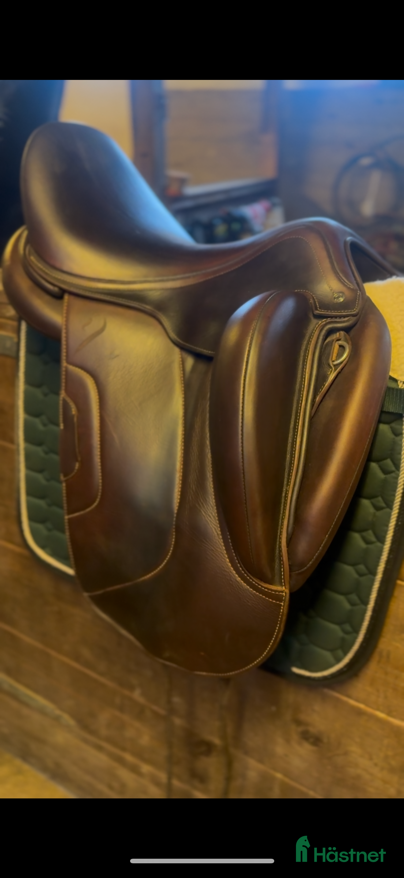 Sadlar hästutrustning Antarés tempo i Örby - Annons 4