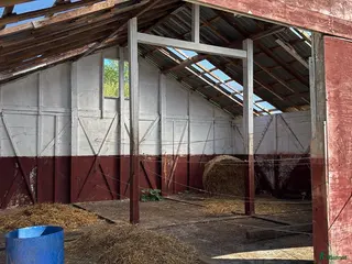 stallplats Lösdrift, Box. Göteborg - Annons 3