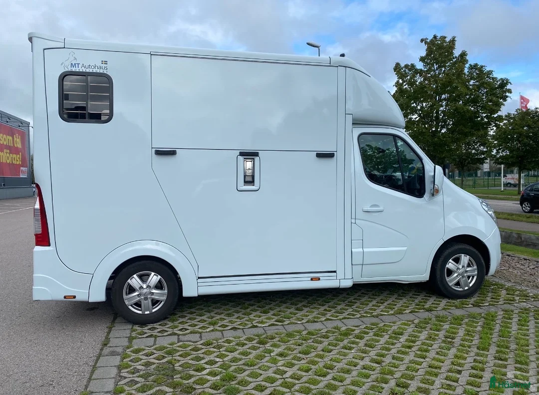 Hästlastbilar  fordon & transport till salu: Opel movano hästlastbil - Annons 1