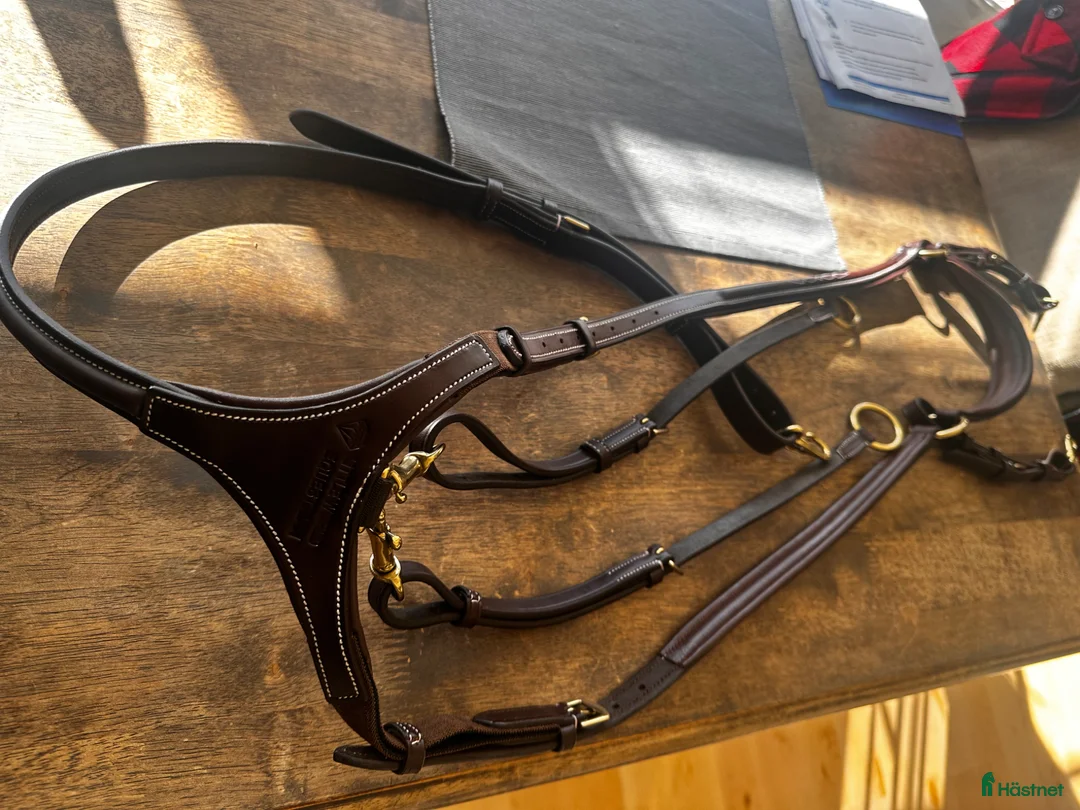 Övrig Hästutrustning hästutrustning till salu: Ny förbygel oak brown - Annons 1