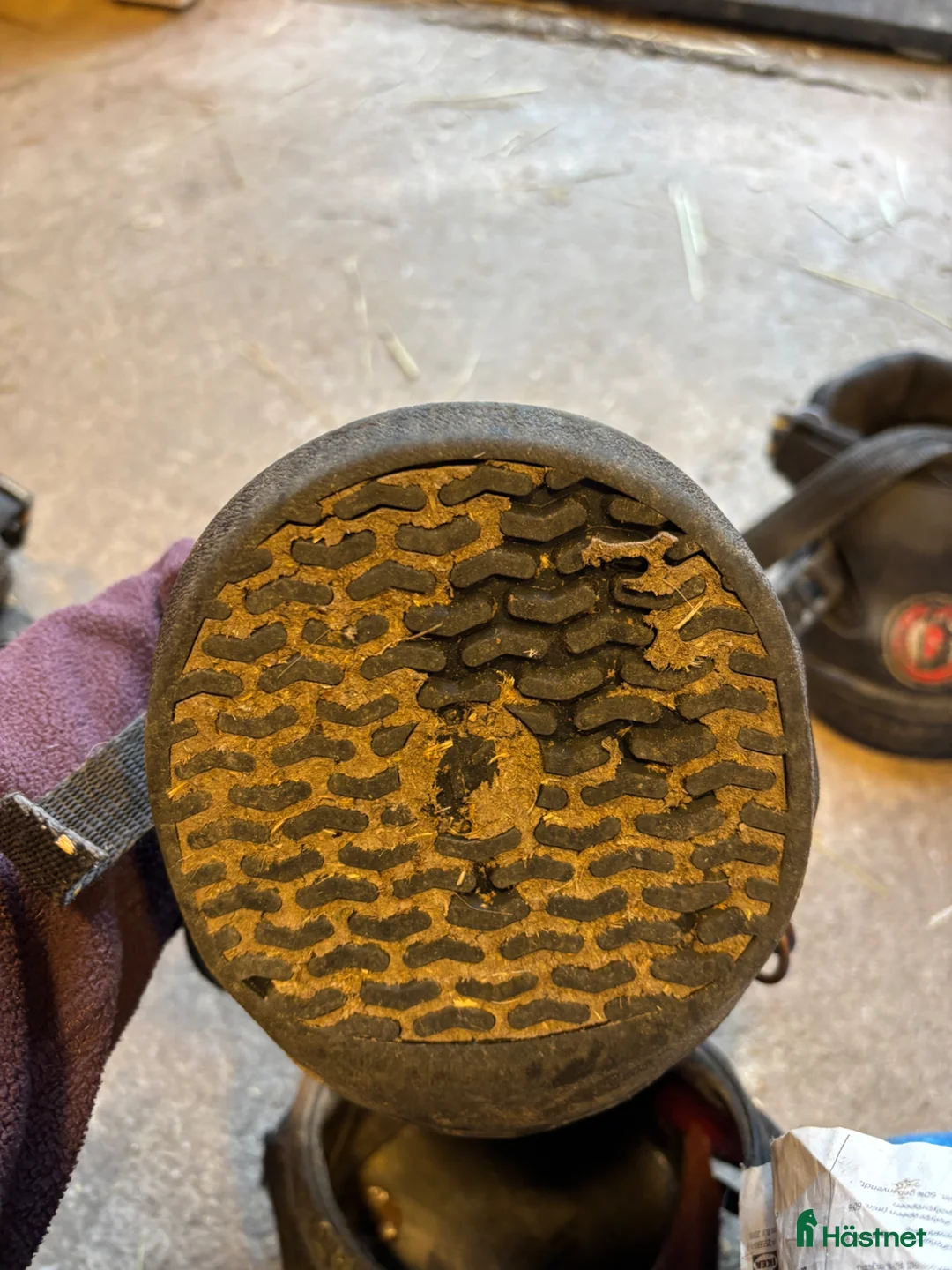 Övrig Hästutrustning hästutrustning till salu: Equine fusion strl 11 - Annons 2