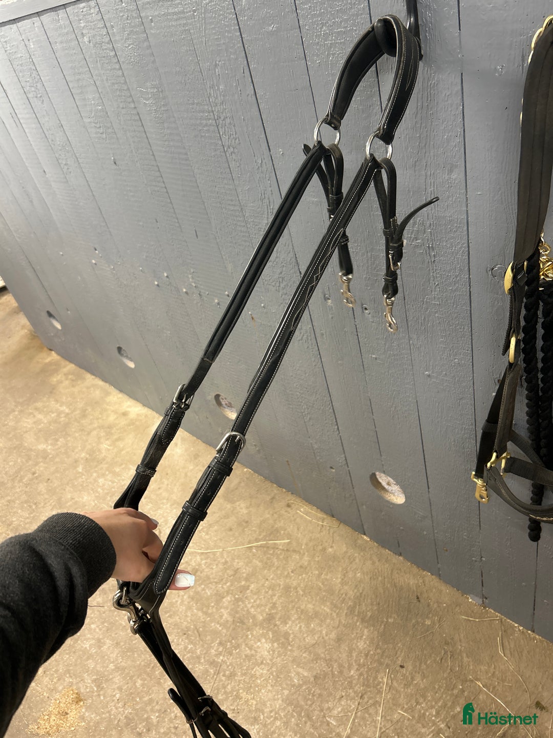 Övrig Hästutrustning hästutrustning till salu: Nästintill oavnvänd Lippoförbygel  i Vara - Annons 4