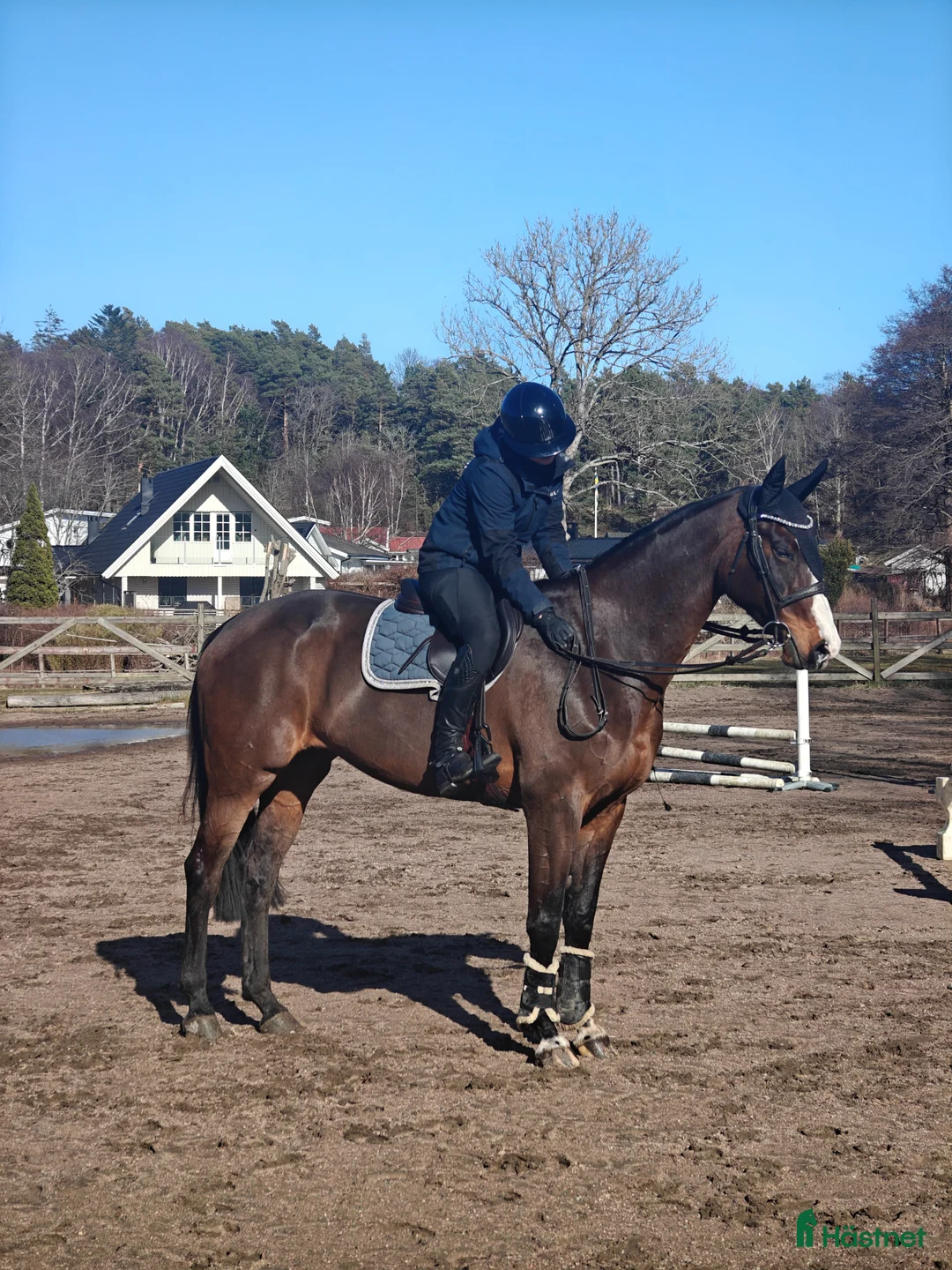 Galleribild {{count}}