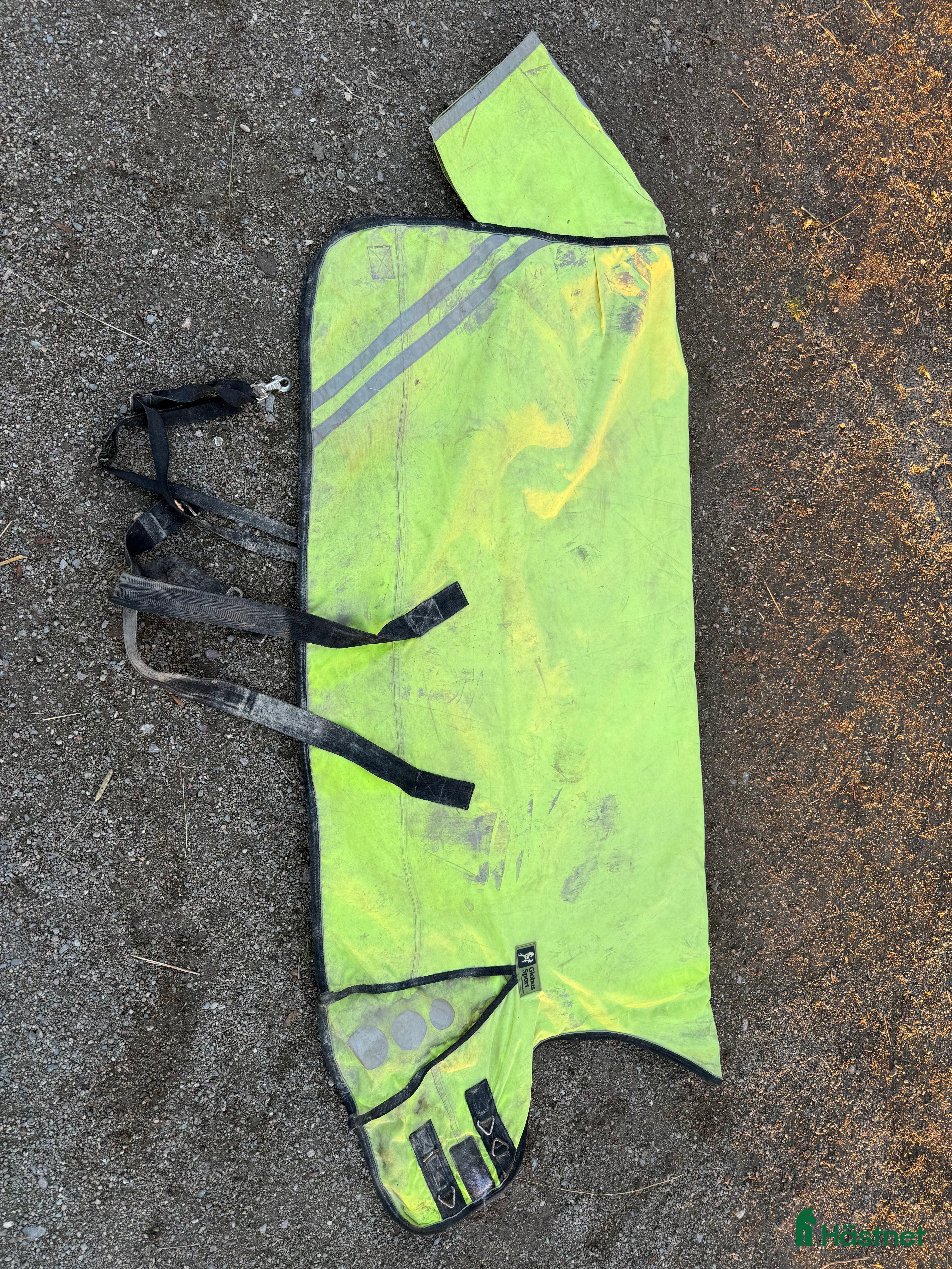 Täcken hästutrustning Gult globustäcke - Annons 15