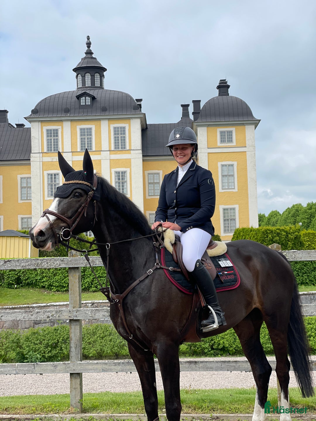 Hoppning hästar till salu: Sto f-14 e Balou du rouet i Furudal - Annons 2