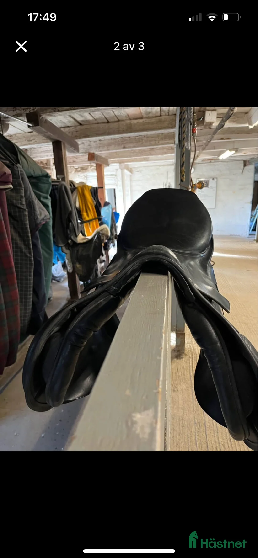 Sadlar hästutrustning till salu: Horsehead Sirius - Annons 2