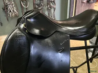 Sadlar hästutrustning Santa Cruz Celine - Annons 3