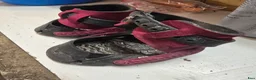 Övrig Hästutrustning hästutrustning till salu: Flex hoof boots st w 100 - Annons 1