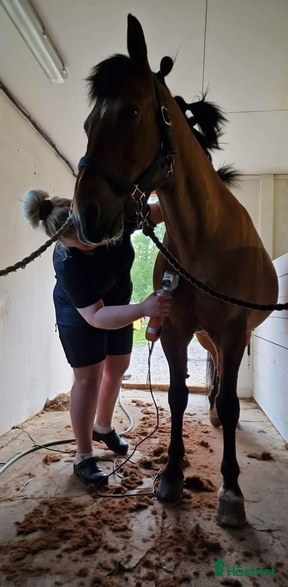  stallplats finnes: Stallplatser 3 st  - Annons 6