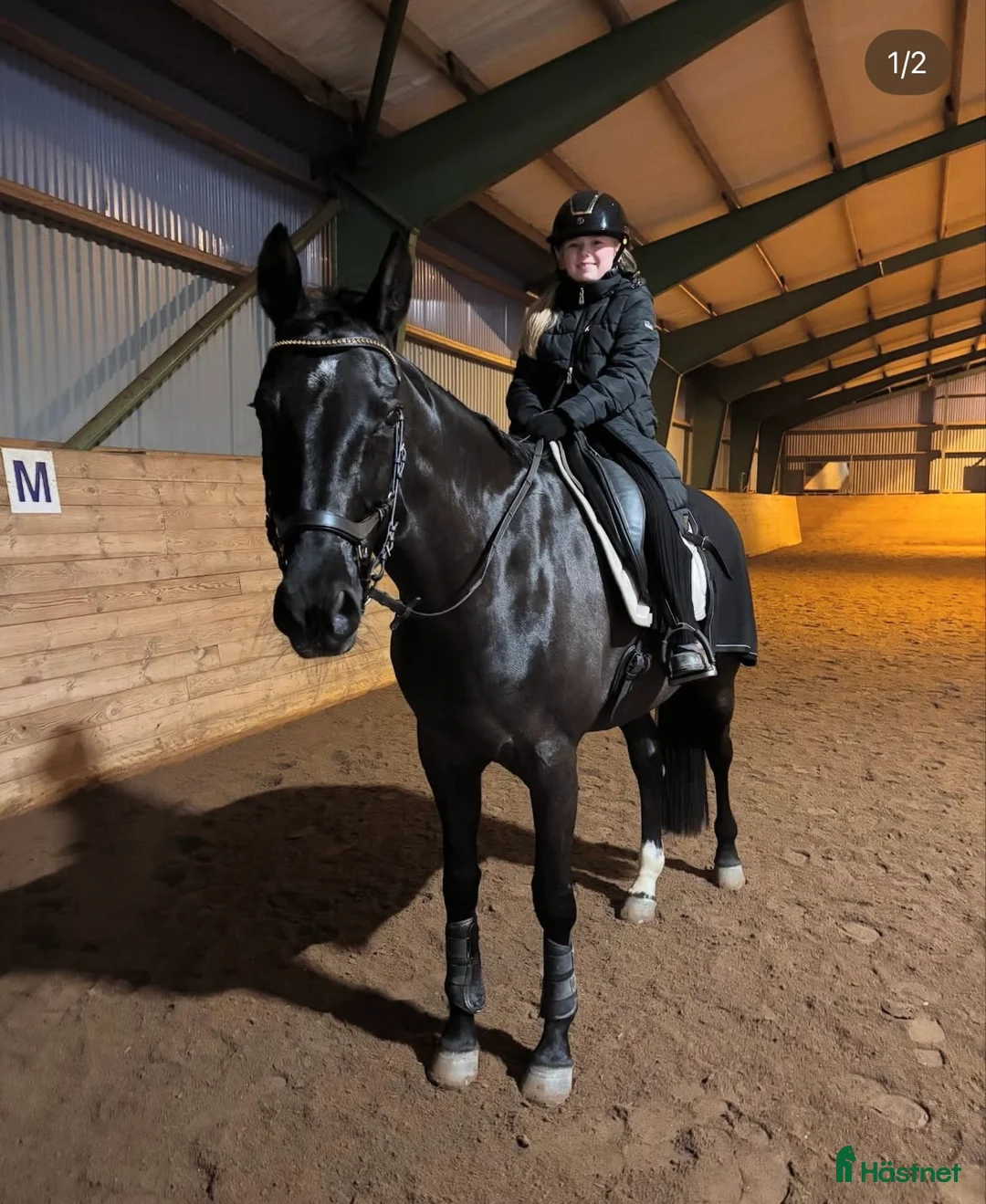  foderhäst sökes: Sommarponny sökes ♥️ i Kungsbacka - Annons 1