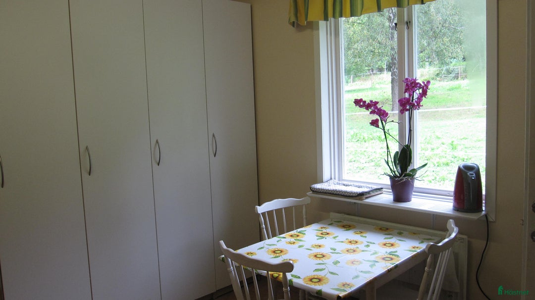  stallplats finnes: Lång utevistelse och ridhus i Sollentuna i Sollentuna - Annons 8