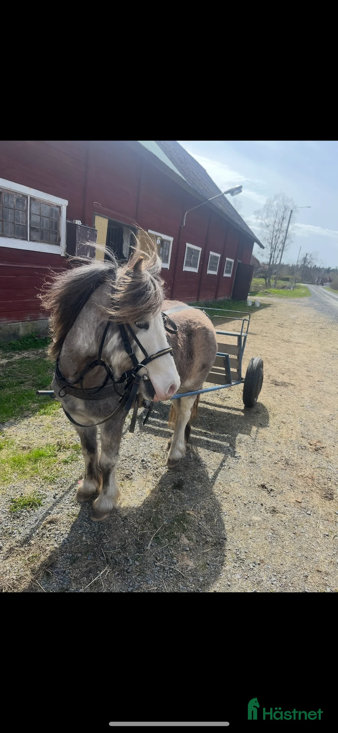  hästservice finnes: Inridning och tillridning  i Korsberga - Annons 5