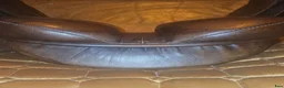 Sadlar hästutrustning till salu: FRANK BAINES 17.5" MW I BOM - Annons 5