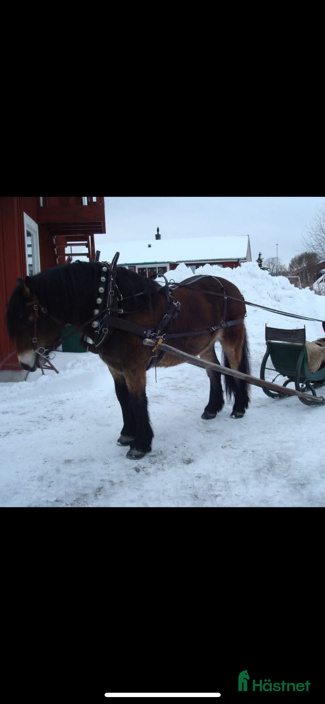 Körselar körning till salu: Arbetssele äldre modell i Valbo - Annons 12