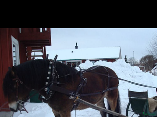 Körselar körning till salu: Arbetssele äldre modell i Valbo - Annons 4