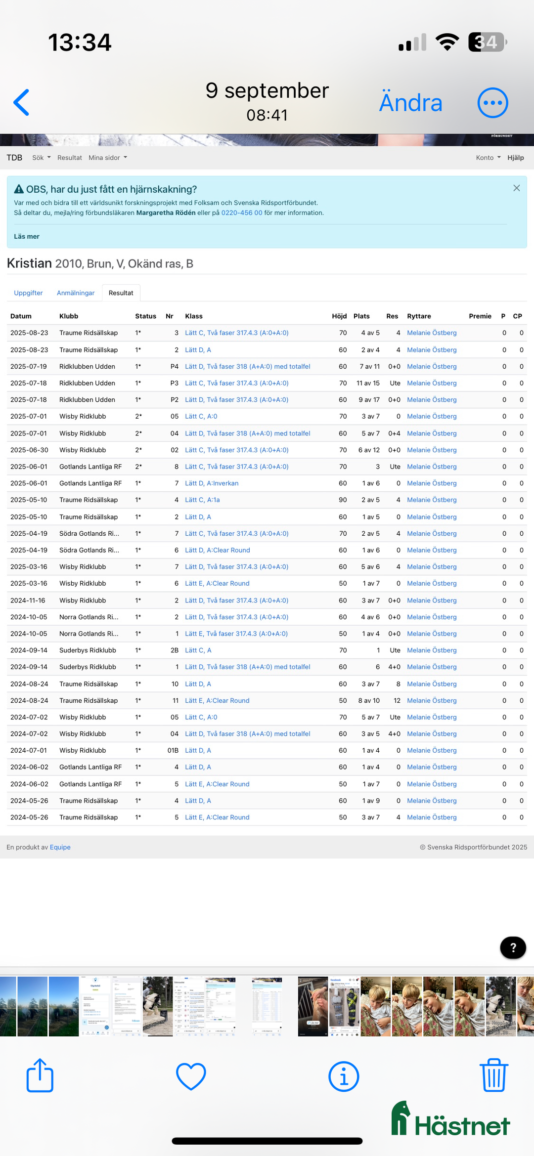 Hoppning hästar till salu: Ponnyn som älskar att jobba - Annons 11