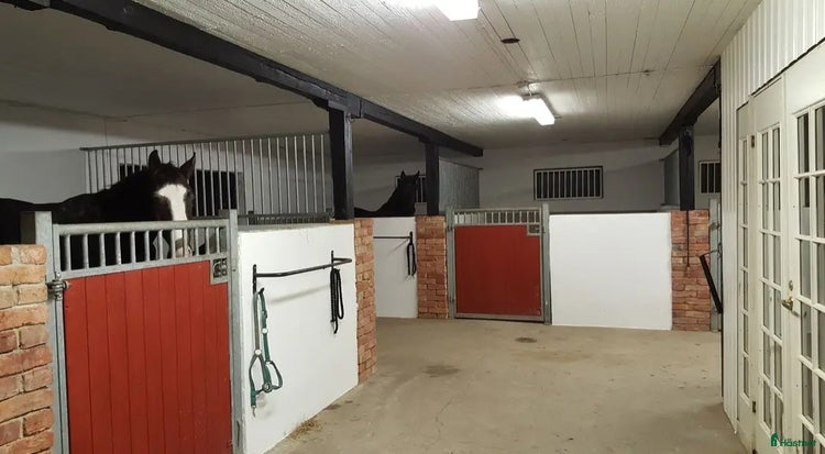 stallplats i Hammarö - Annons 15