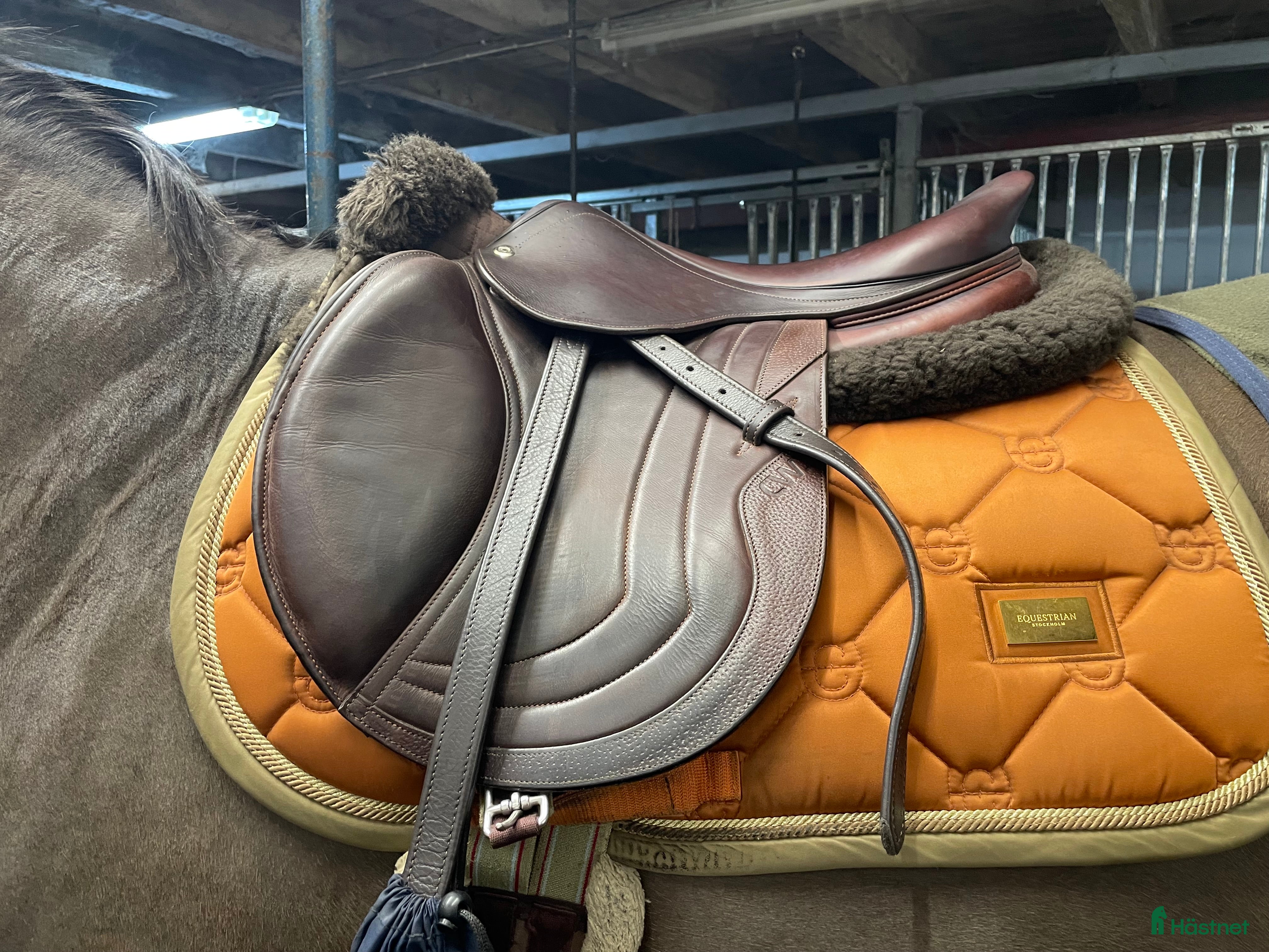 Sadlar hästutrustning till salu: Fin CWD i Trelleborg - Annons 10