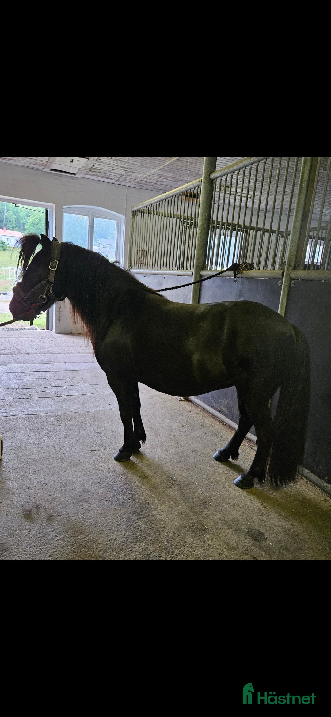  stallplats finnes: Stall/lösdrift Uddevalla sökes i Uddevalla - Bild 4