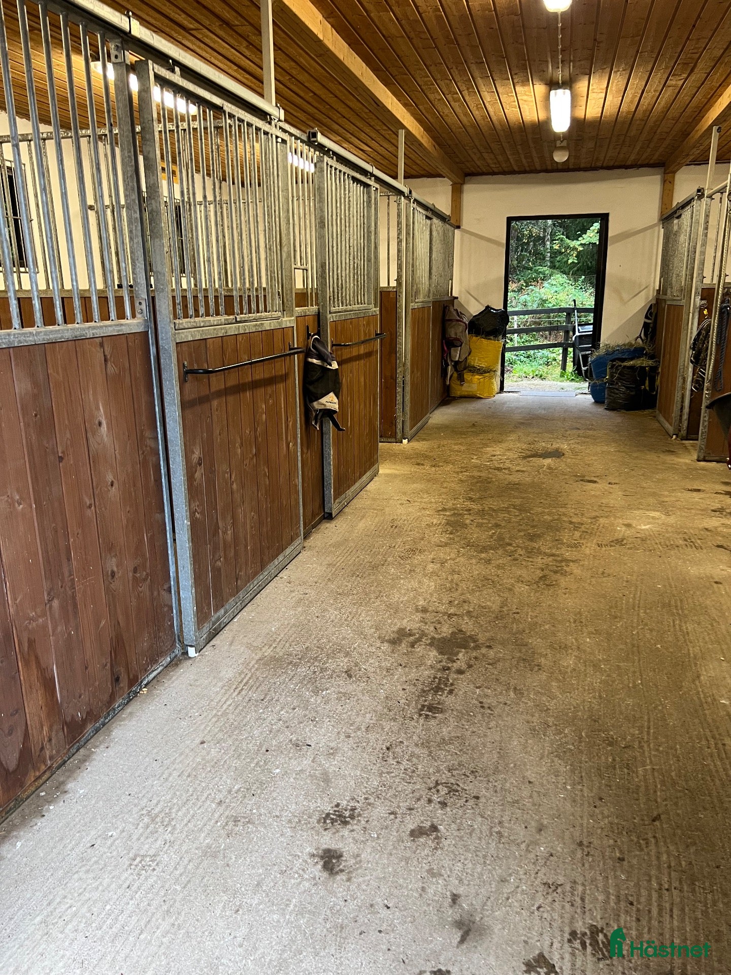  stallplats Ledig stallplats uthyres - Annons 11
