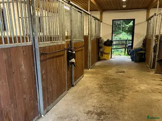 stallplats Ledig stallplats uthyres - Annons 6
