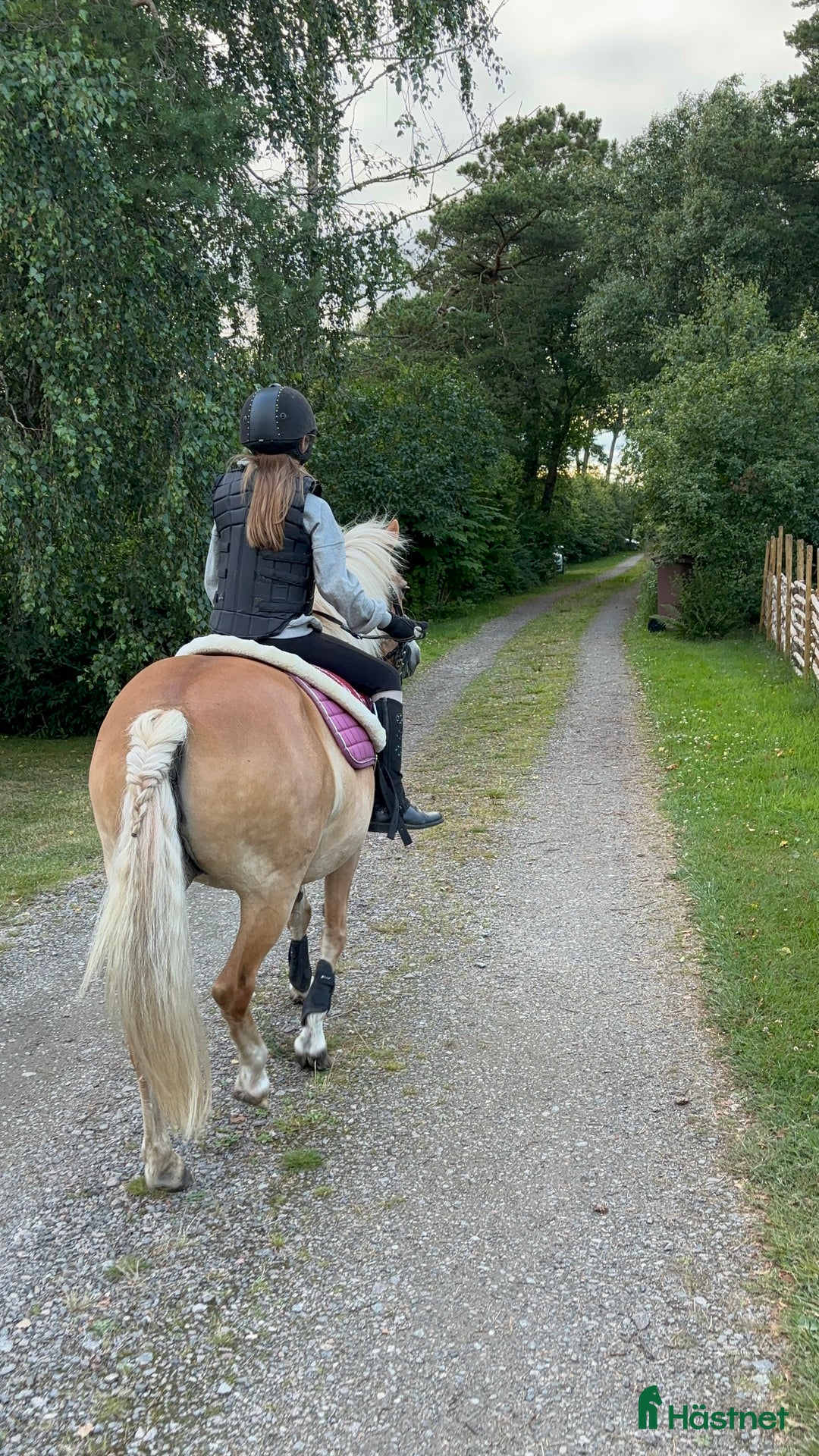  stallplats finnes: Lediga stallplatser!  i Tvååker - Annons 4