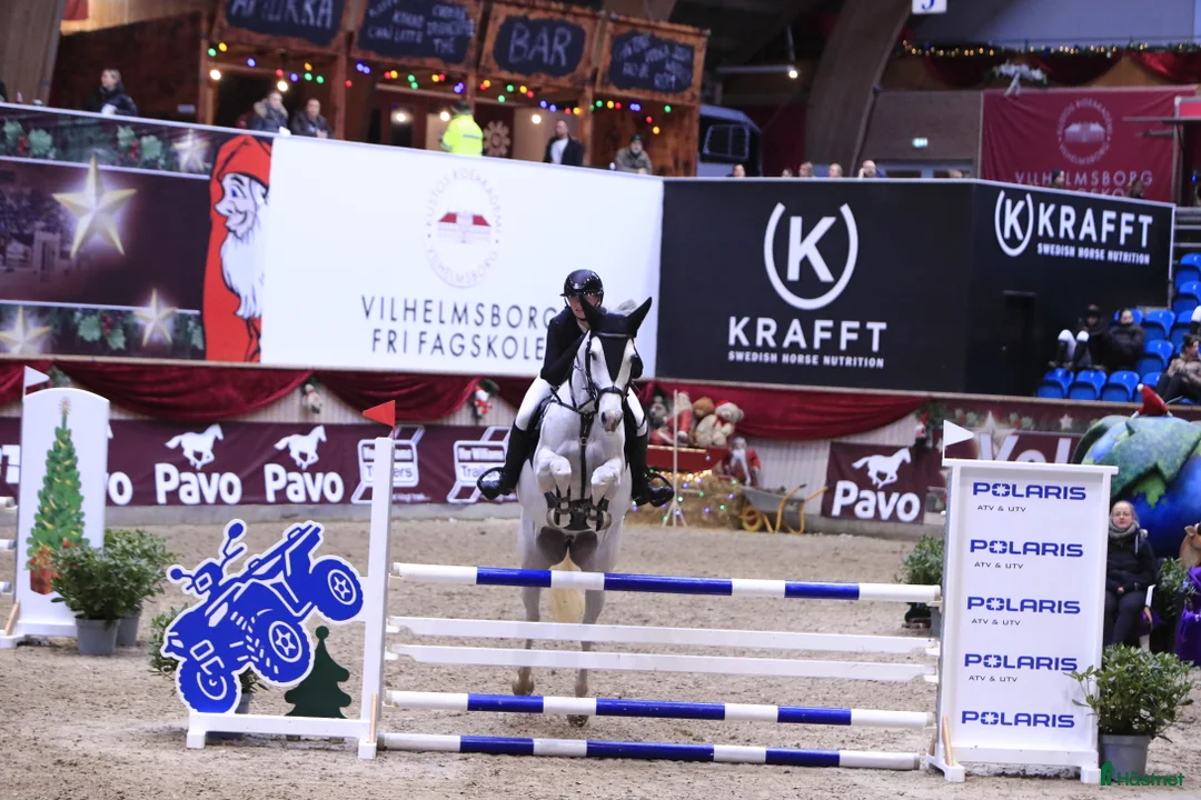 Hoppning hästar till salu: Välriden energisk häst  - Annons 3