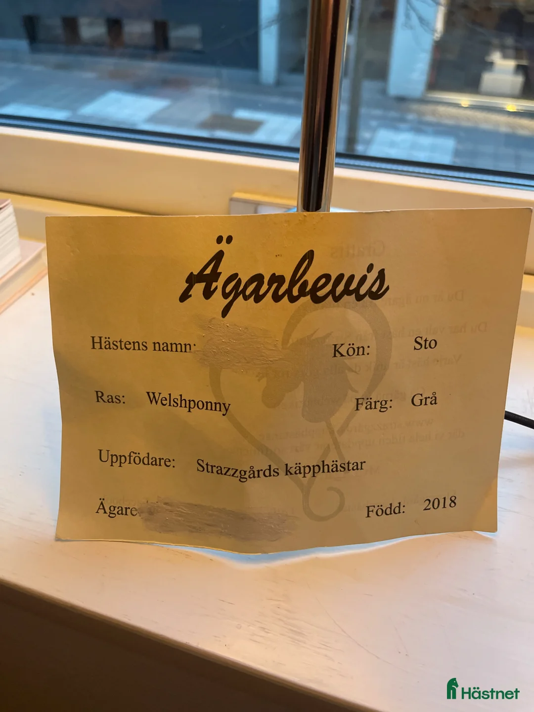 Hästinspirerad heminredning övrig utrustning till salu: ”limited edition” käpphäst! - Annons 2