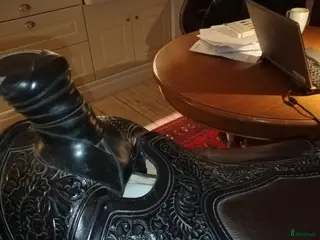 Sadlar hästutrustning Western sadel lyx - Annons 1