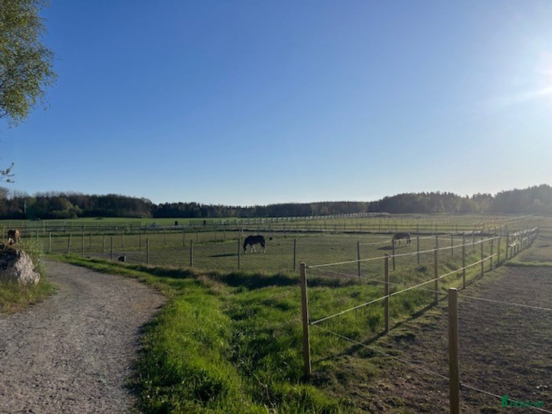  stallplats finnes: Ledig plats i Vallentuna i Vallentuna - Annons 2