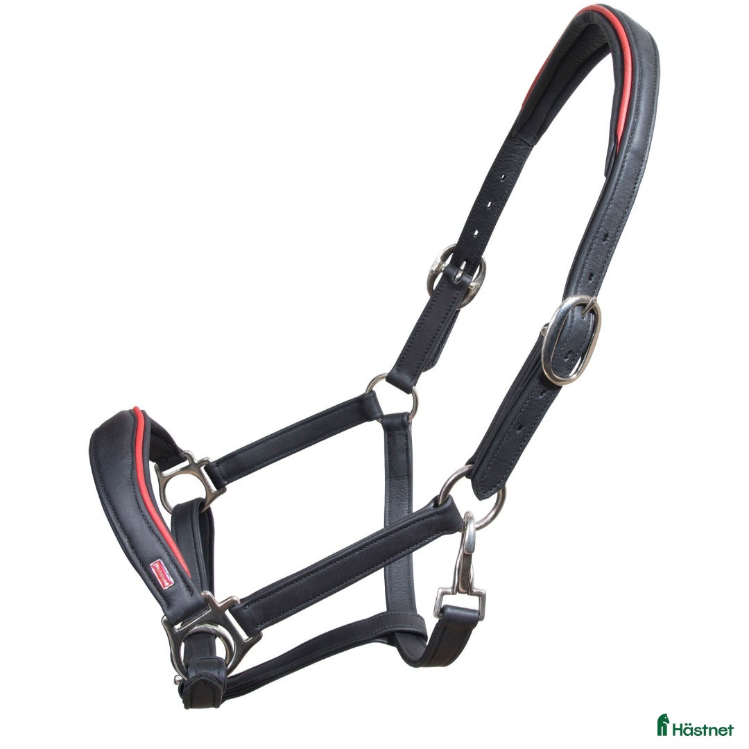 Islandshästutrustning övrig utrustning till salu: Lädergrimma - Annons 1