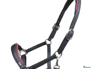 Islandshästutrustning övrig utrustning till salu: Lädergrimma - Annons 1