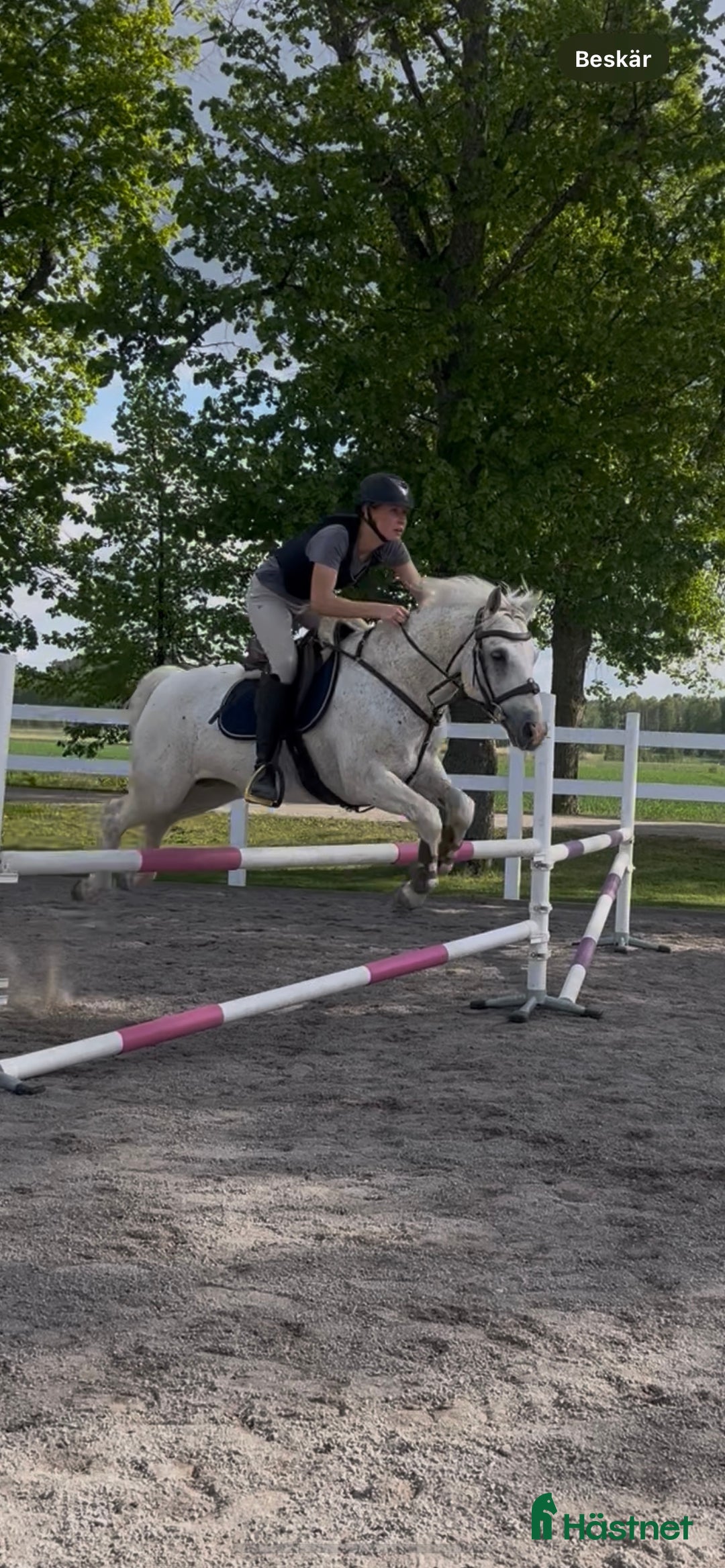 Galleribild {{count}}