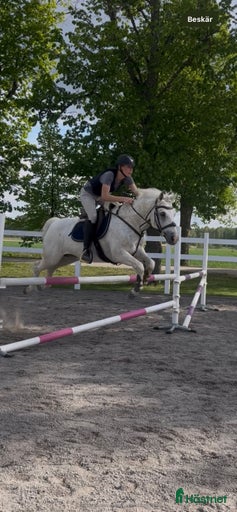 Galleribild {{count}}