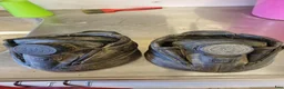 Övrig Hästutrustning hästutrustning till salu: Boa boots  - Annons 1