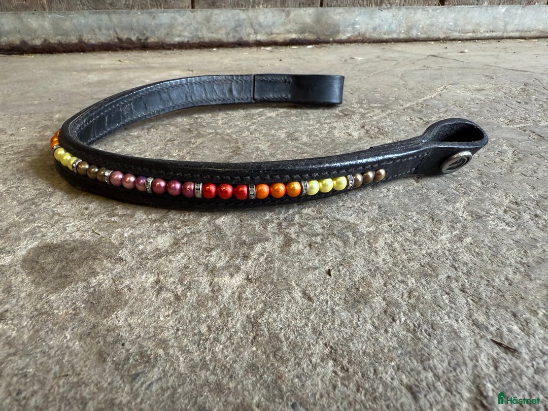 Övrig Hästutrustning hästutrustning till salu: Pannband i Ekerö - Annons 1