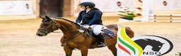 Hoppning hästar till salu: Fearless mare for showjumping! i Ekerö - Annons 1