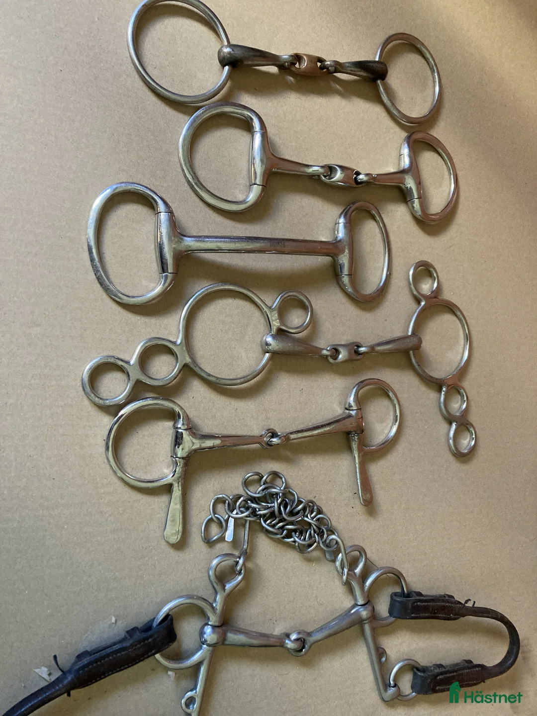 Bett hästutrustning till salu: Diverse hästbett - Annons 1