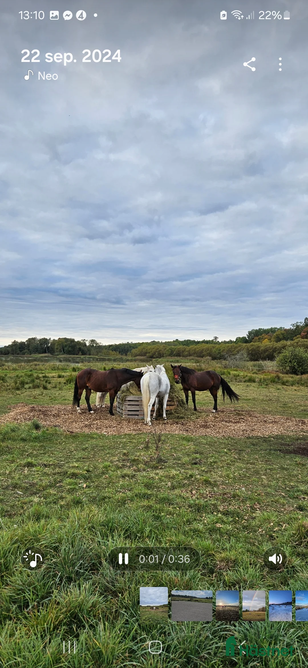  stallplats finnes: Fullservice stall i Märsta - Annons 11