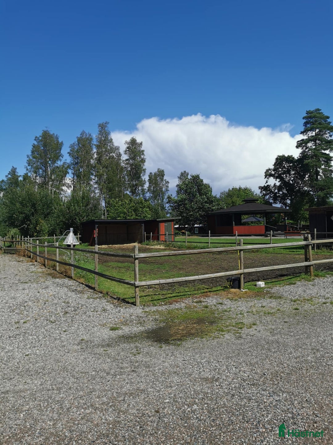  foderhäst sökes: Foderhäst/bästa kompis sökes - Annons 3