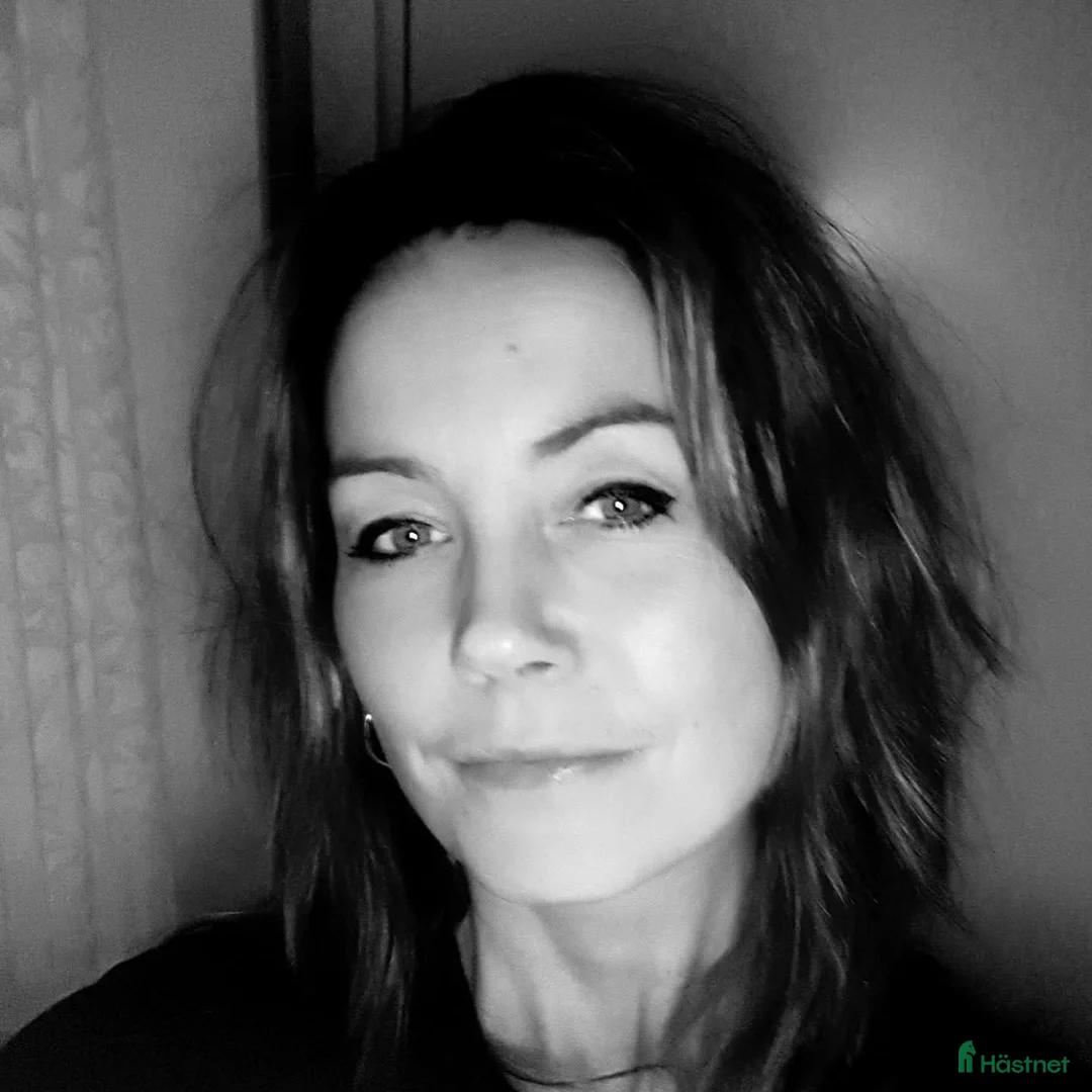 Galleribild {{count}}