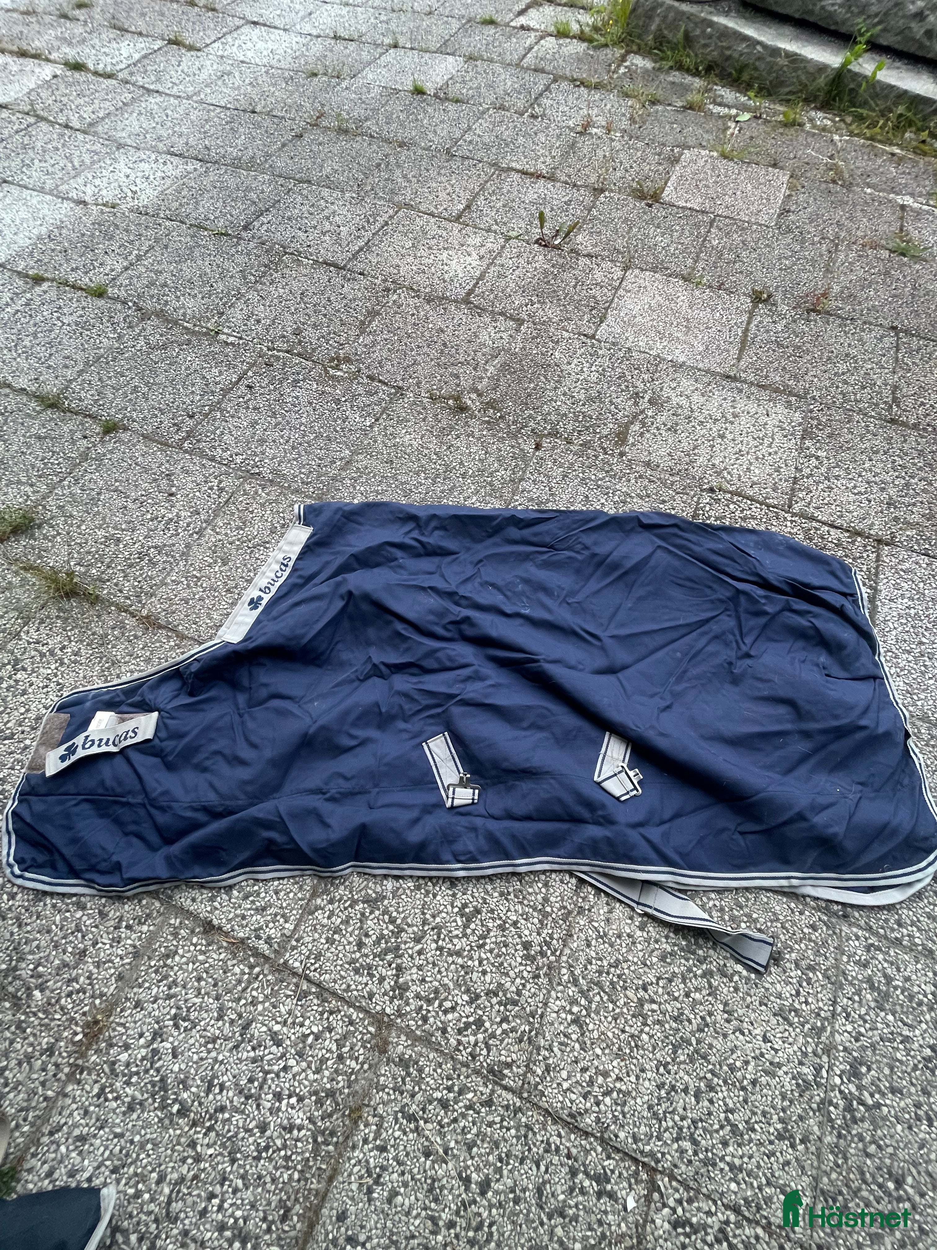 Täcken hästutrustning till salu: Innertäcke  - Annons 17