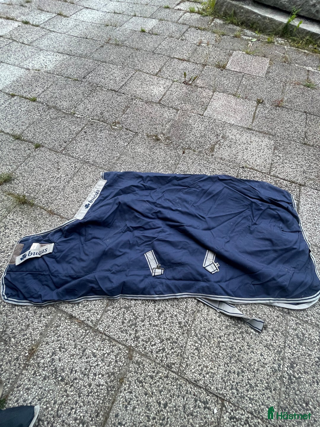 Täcken hästutrustning till salu: Innertäcke  i Luleå - Annons 1