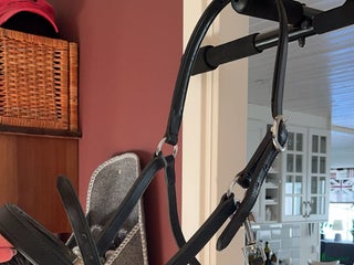 Övrig Hästutrustning hästutrustning till salu: Läder grimma i Lidköping - Annons 1