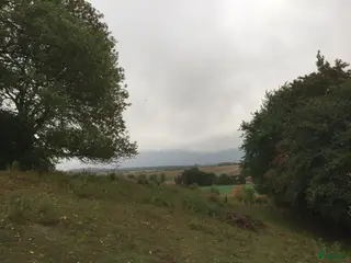 hästar trevlig stor ponny eller liten stor häst - Annons 19