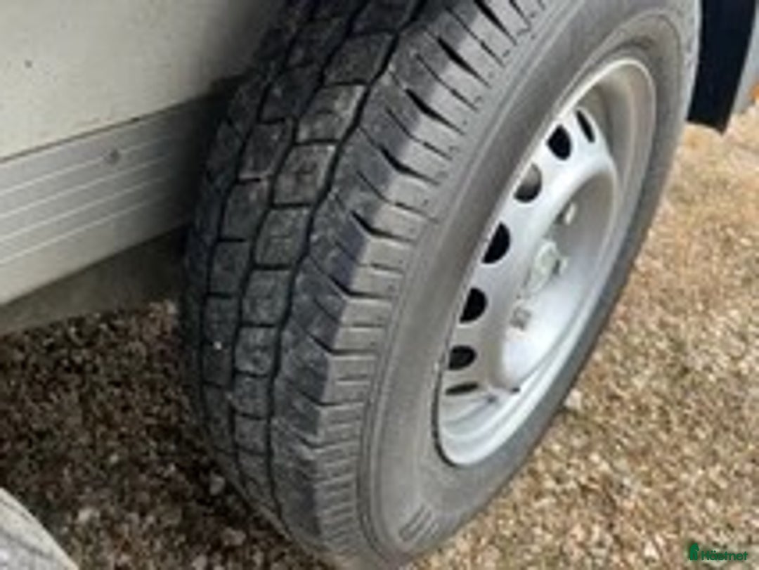 Hästtransporter  fordon & transport till salu: Forzab Light  i Klippan - Annons 7