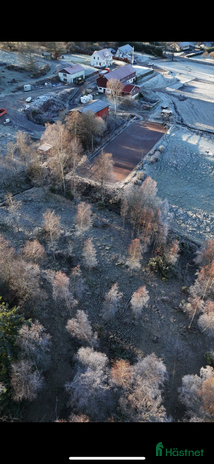 stallplats Lösdriftsplats för islandsvalack i Lindome - Annons 4