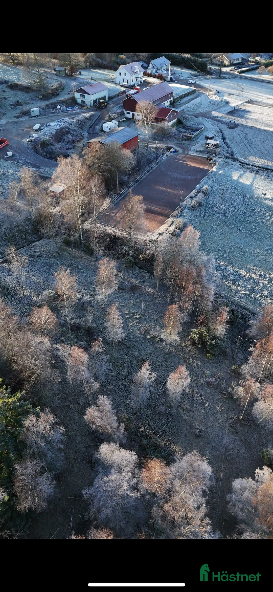  stallplats finnes: Lösdriftsplats för islandsvalack  i Lindome - Annons 1