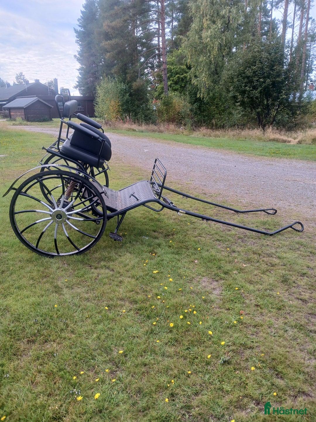 Körvagnar körning till salu: Gigg Kutzmann i Blåsmark - Annons 3